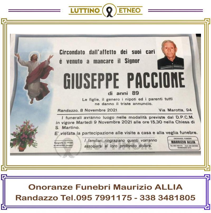 Giuseppe  Paccione 